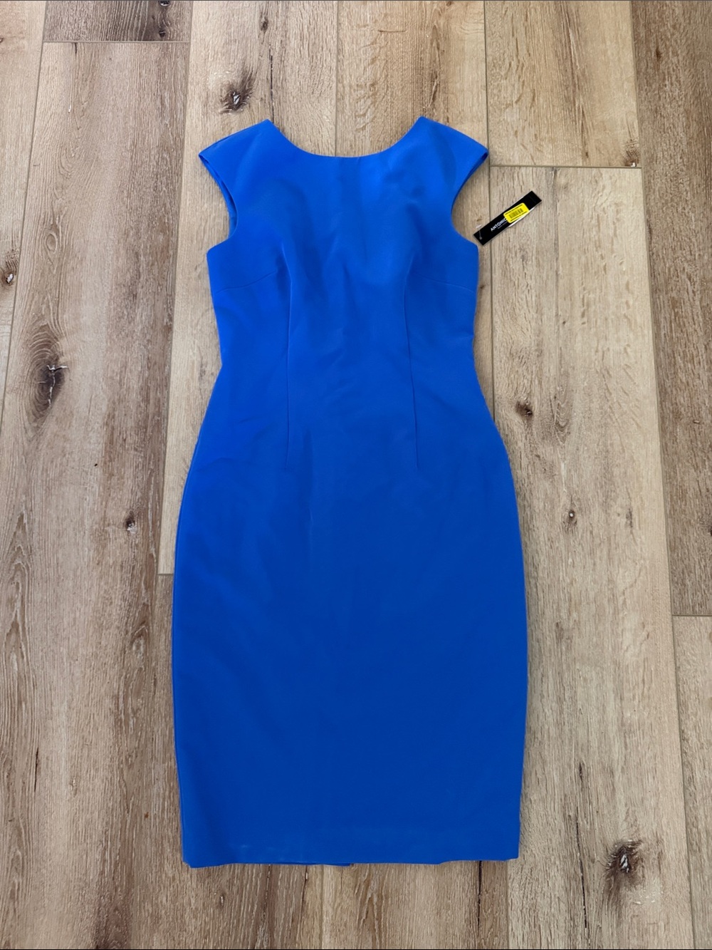 ANTONIO MELANI | Cobalt Blue Midi Sheath Dress | size 4 | NWT